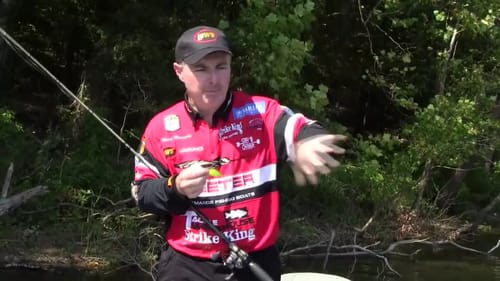 Square Bill Crankbait Basics for Bass Fishing