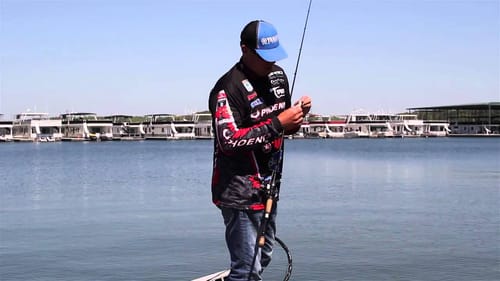 Soft Jerkbaits for Shallow Bass