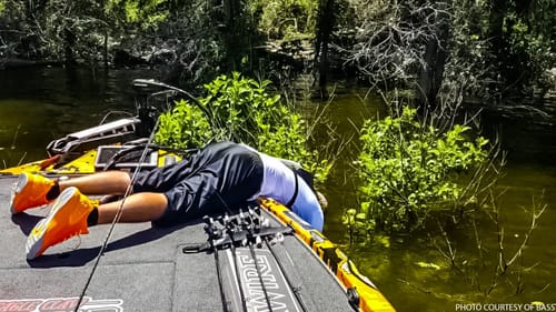 Bass University - Spring Fishing Report & Tips