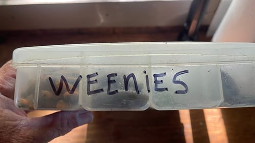 This Weenie Wormin’ Method Produced 150 Bass One Day For Me…
