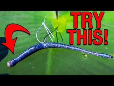 This Hack Will Change the Way You Fish a Neko Rig Forever!