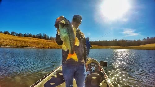 Late Winter A-Rig Tips To Locate Schooling Bass