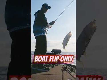 Harris Chain 🎣 Chatterbait Fishing #shorts #bassfishing #boatfliponly