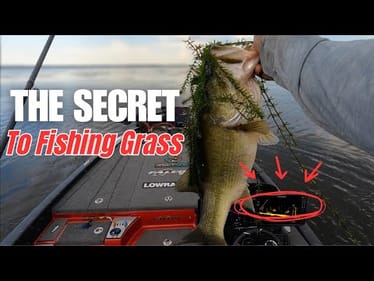 The Truth - How to Fish Heavy Grass In The SUMMER