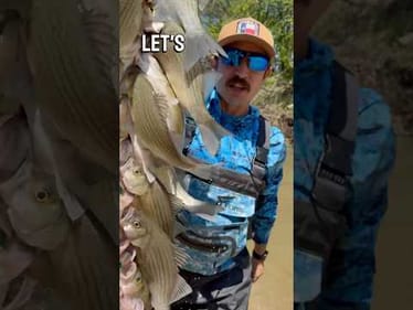 White bass fishing in Texas! #fishing