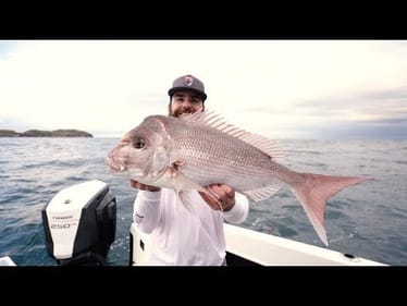 HOW TO FILLET FISH - Snapper w/ Swibo Knives