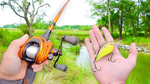 We Caught 40 Bass in 30 Minutes!!! (UNREAL Day Of Fishing)