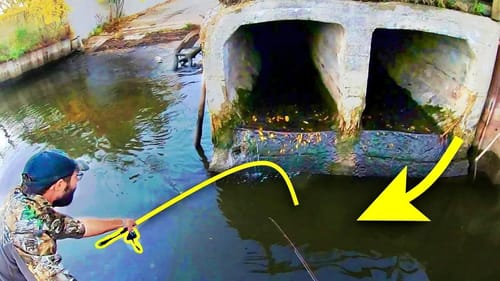 13 LB MONSTER in a STORM DRAIN!! (FISH OF MY DREAMS)