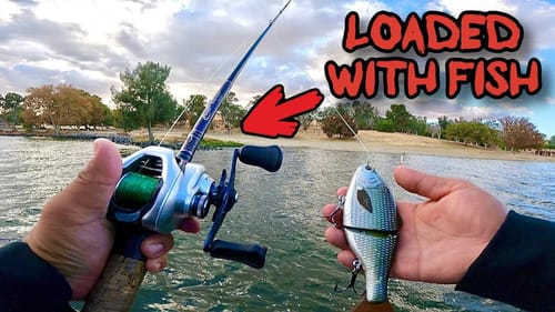 Fish on Every Cast! Unreal Fishing Day