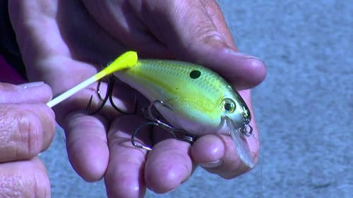Kevin Short Talks About Customizing Baits for More Bites