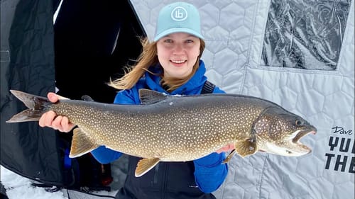 Ice Fishing AGGRESSIVE Lake Trout!! (Swimbaits)