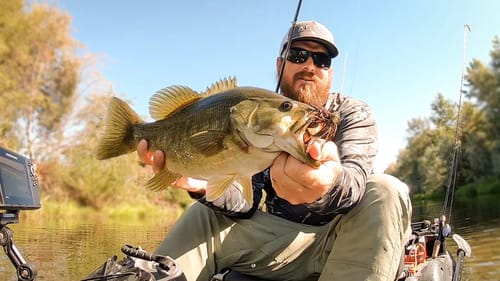 Tiny Creek Fishing! Crystal Clear Water and BIG Fish!