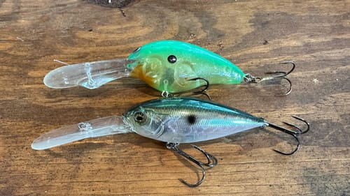Finally Revealed…The “Bad Eye Beck” Crankbait Fishing Technique…