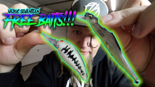 How To Get Free Baits | Black Bass with 15 Spots | VEDUC / VLOGMAS 2018 Day 17