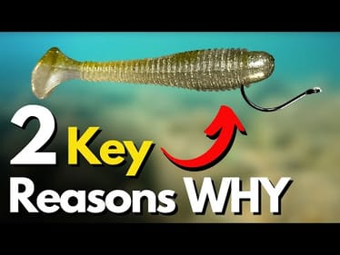 A Drop Shot Lure You MUST Try (Watch Underwater)