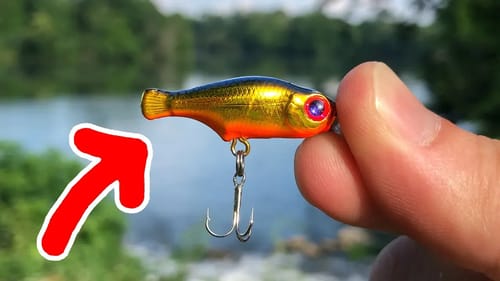 SMALLEST Crankbait EVER Catches a NEW PB!!!