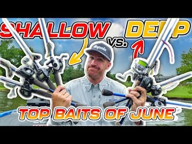 TOP BAITS of the MONTH ( June 2025 Edition 4K )