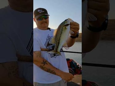 I’ve Never Met a Bass that didn’t like a Crawdad 🦞#bassunion #bassunionjigs #bassunionguideservice