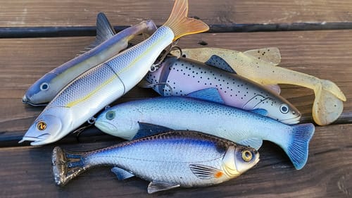 How To Catch Bass In Winter: Swimbait Tips For Cold Water Bass Fishing
