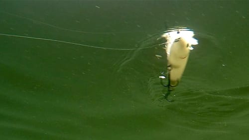 Increase Topwater Hookups While Reducing Fouling