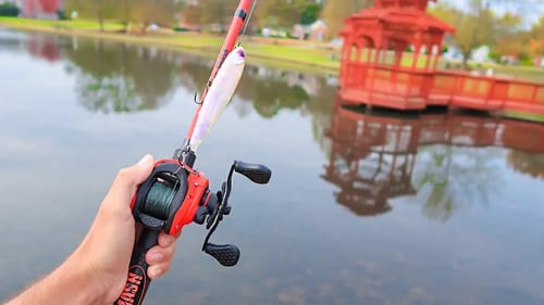 BIG Topwater ONLY for GIANT Bass (Bank Fishing)