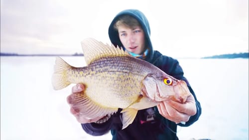 Fishing REMOTE Bush Lakes For Canadian Crappie -- (SURPRISE CATCH)