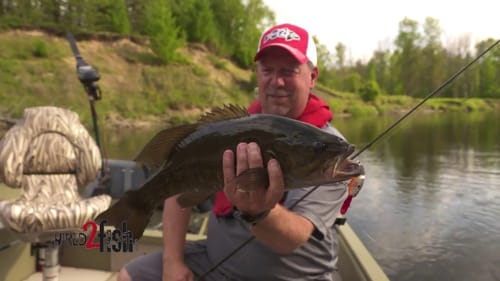 Flatline Trolling River Bass and Walleye
