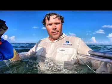 I Dive In for Dinner!