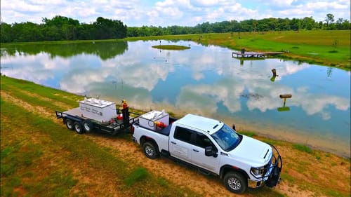 Adding 1,000 Tilapia to the 5 Acre Pond!