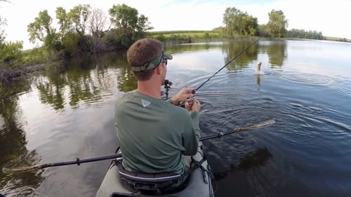 Hula Sticking Mid Summer Smallies