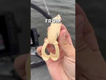 Hunting for Monster Bass with a Topwater Frog #fishing