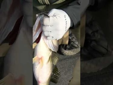 Palaniuk fired up on Day 2 at Okeechobee