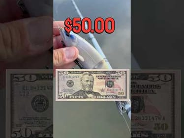 Fishing with a $50 soft plastic swimbait! #fishing