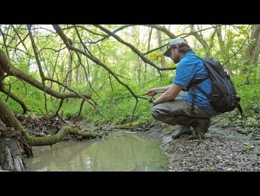 Tiny Creek Fishing after a Flood? (Surprise Catch!)