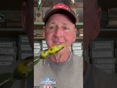 The Lure Bass Stopped Biting