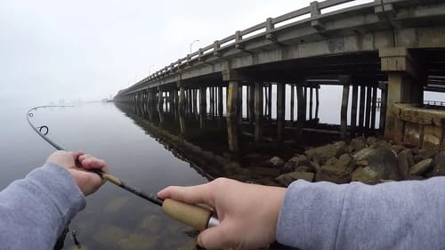 Pier Fishing With FROZEN Mullet (FAIL)!