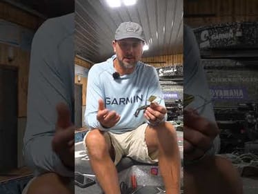 These are the 3 Baits You Will Want to Have on Your Deck Early Fall!