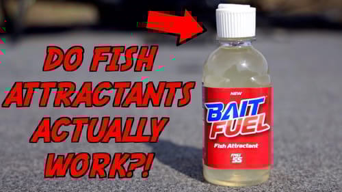 Do Fish Attractants Really CATCH MORE Fish?!
