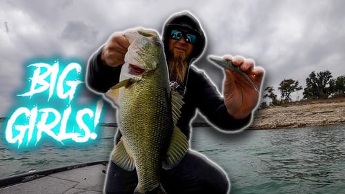 NEW FAVORITE SOFT PLASTIC?!?! BIG CATCHES ON NEW 6th SENSE FLUSH!!!