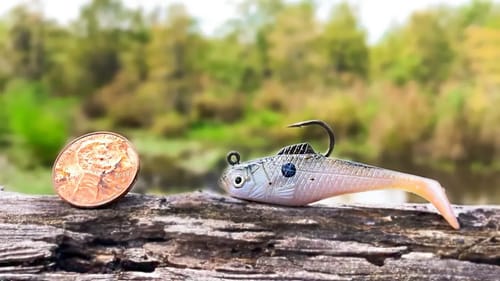 TINY Swimbait Fishing Challenge (Micro Lure)