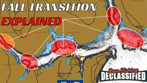 Stop Wasting Time Fishing For Bass In The Fall