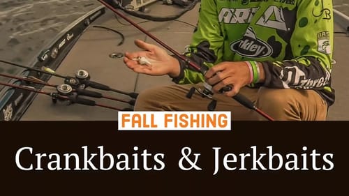 Fishing Crankbaits & Jerkbaits - Best Baits for Fall