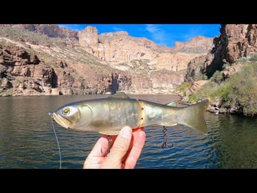 Exploring This Secret Desert Canyon Lake Full Of Aggresive Fish!