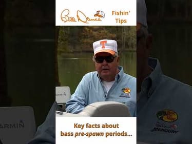Key facts about bass pre-spawn periods… #fishingtips