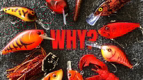 RED is KING in Early Spring (But WHY??)