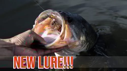 Small Boat DREAMS Fun Day of Bass Fishing out of the Little Boat