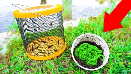 Fishing w/ LIVE GLOW Worms vs GIANT Livebait CRICKETS (WALMART)