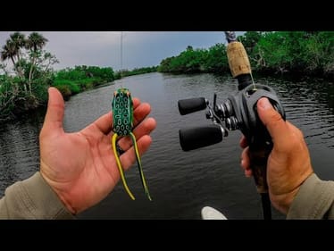 SaltWater FROG Challenge | The Most BRUTAL Topwater Frog Eats I've Ever Seen