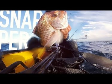 Plastics 1, Live Bait 0 - Snapper Fishing - Catch, Fillet + Cook