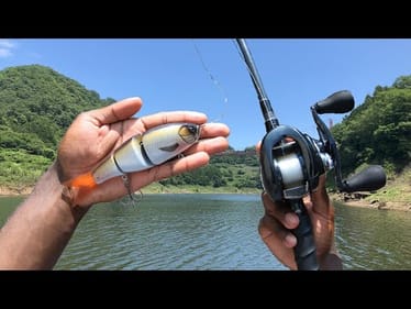 This Japanese Mountain Lake Is Loaded With AGGRESIVE Fish!
